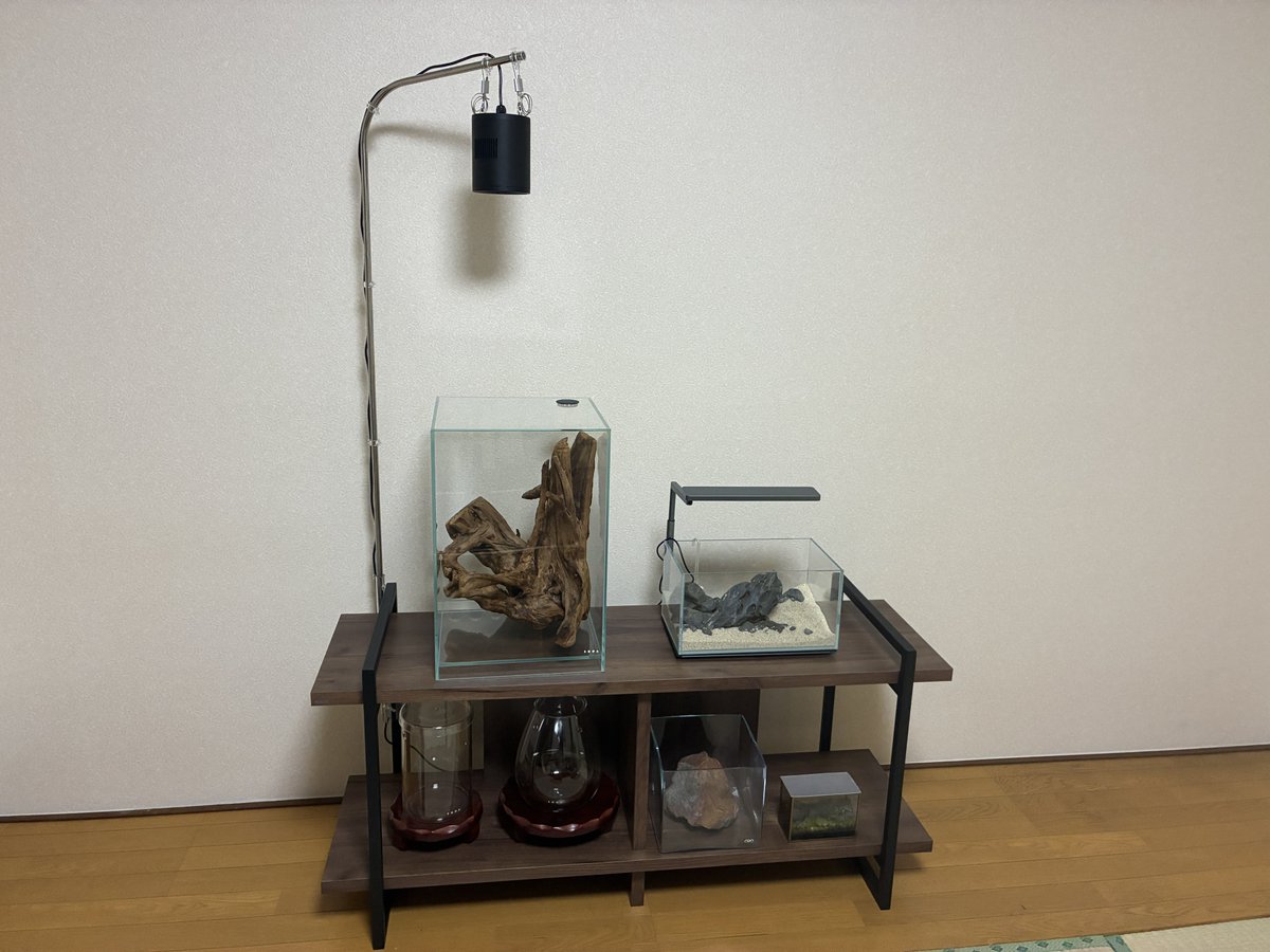 tomoakiueno0223's tweet photo. 下段のパルダリウムの照明、何にしましょう?
天板に鉄板を固定して、マグネットGスリムをくっつけましょうか。
バータイプのLEDを1本で済ませた方がコストはかかりませんが、容器ごとに調光したいですし。
#gex
#gexaquarista
#dooa
#アクアリウム
#和室アクアリウム https://t.co/SpoUvMc630