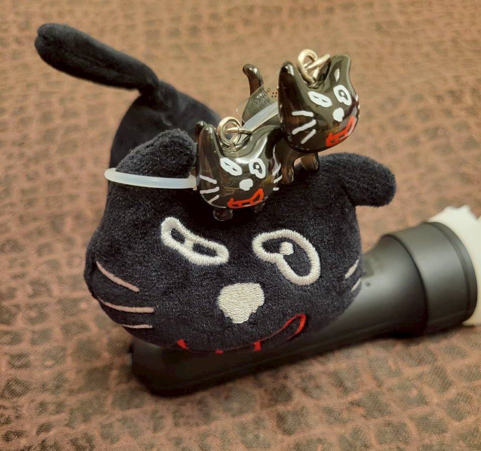 Ume_bacon's tweet photo. 相棒が遊んでたやつw
前半は可愛さ満点💮
後半に関してはホラーじゃん🙄 https://t.co/0trEaOpFhq