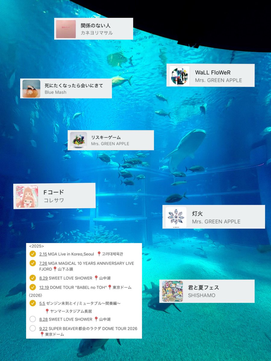 O9moi's tweet photo. 🏷⋆✦

“云える事は言っておこう
                         キミの耳に届くうちに”

 ♡or↺で気になった人お迎えいきます💭

 #MrsGREENAPPLE
 #ミセス好きな人と繋がりたい https://t.co/UXsACpzgsx