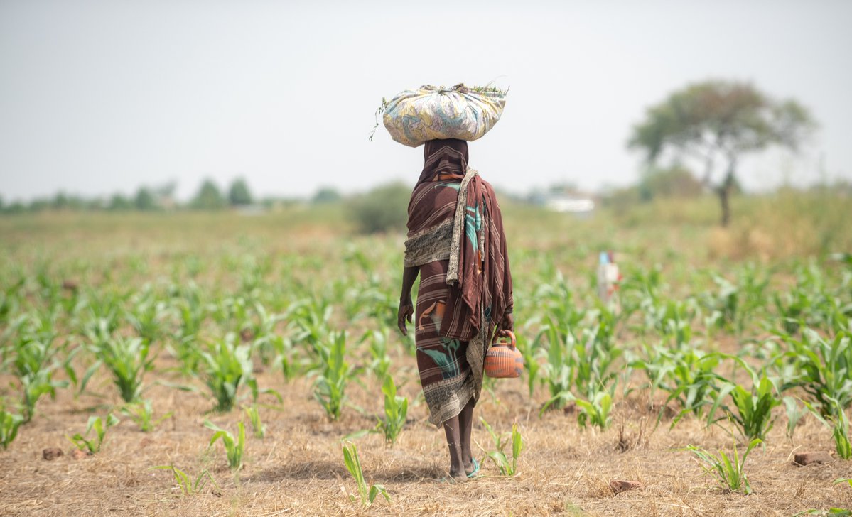 CGIAR tweet picture