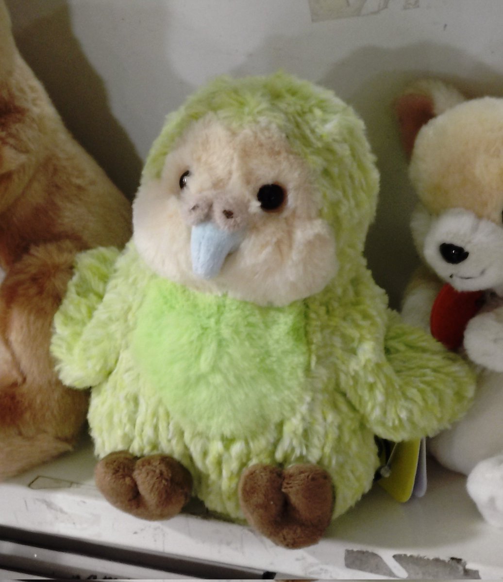 arinco5617's tweet photo. 本屋さんで目が合った。
真っ先に頭に浮かんだのはあのときのりょうちゃん…笑 https://t.co/xVroo6yzKF