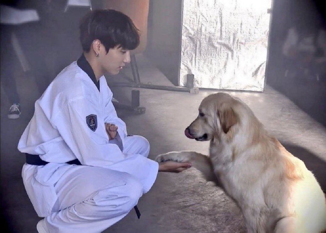 koogifs's tweet photo. puppy : "omg jungkook"
jungkook : "omg puppy" https://t.co/vFLkmmGzsu