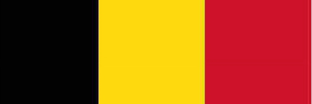 AIslopfest's tweet photo. @stoolpresidente Belgian flag as my background and you can't do shit. Trump has ruined Team USA. If you support them now you lack character. https://t.co/rgFuq38C1d