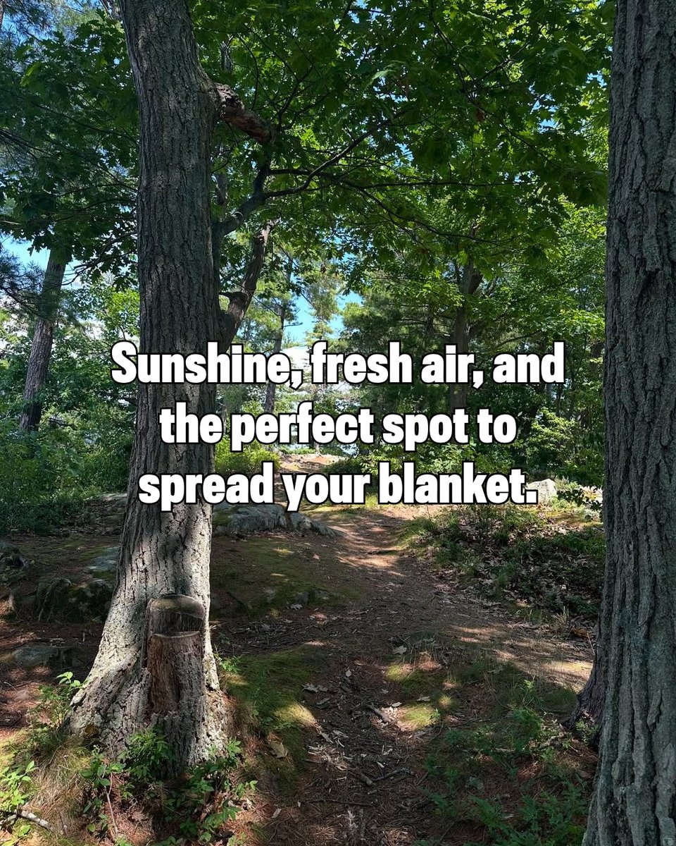 VisitAdks's tweet photo. July is National Picnic Month and there's no better place to spread your blanket than Coles Creek State Park. Make it your next destination.

📍Coles Creek State Park @newyorkupstate https://t.co/xCKL3hJIR1