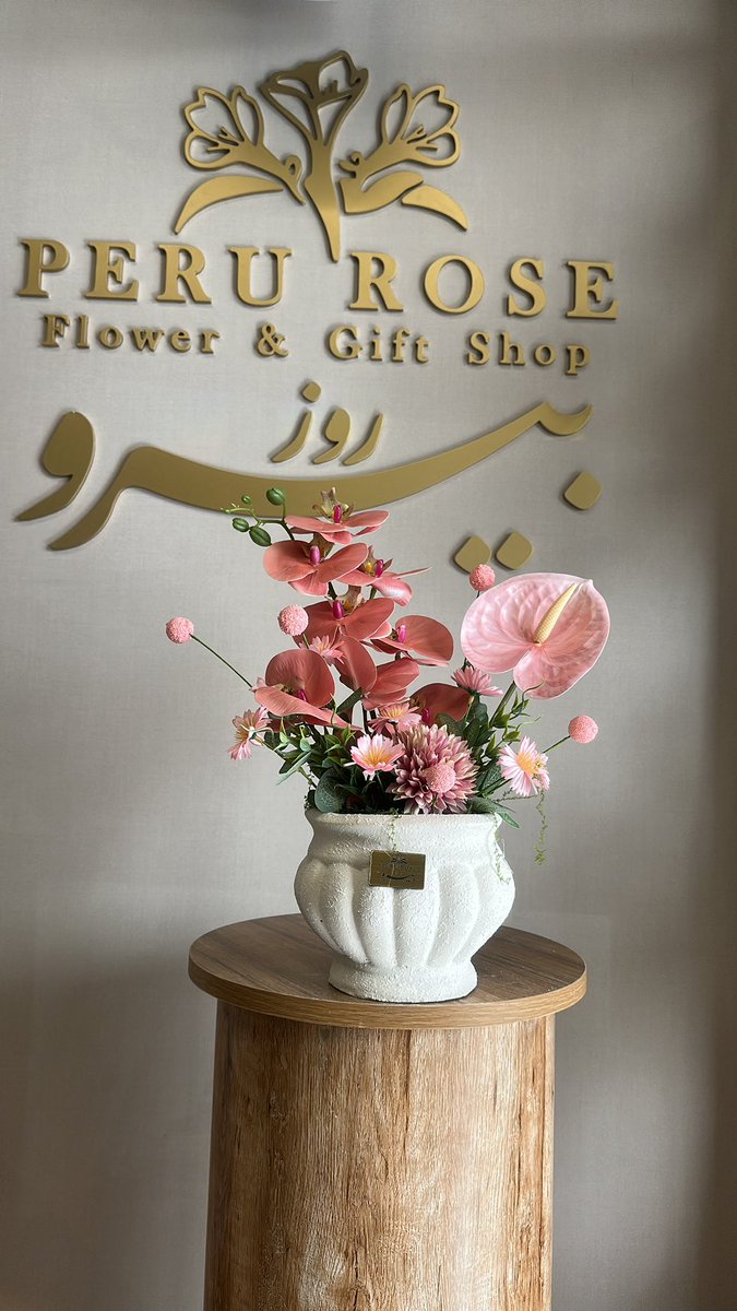 peruroses1's tweet photo. #تكانه_نقهويكم_الشرقيه #الكاس_بطعم_البيت #تركي_العجمه #وين_مسافرين_بالاجازه #Ronaldoday #النرويج_انجلترا #فرنسا_المغرب https://t.co/gsBe9vGiIP