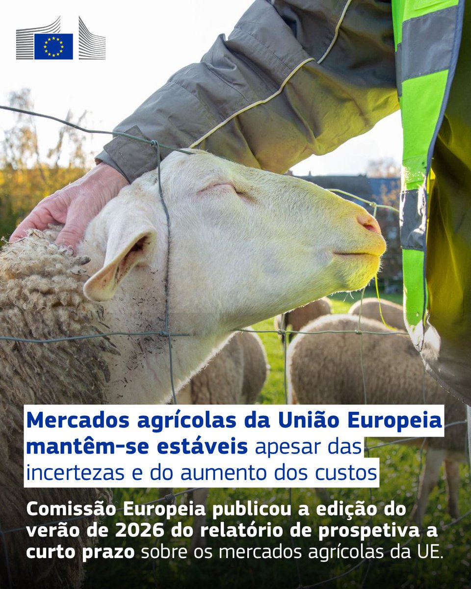 Comissão Europeia em Portugal tweet media