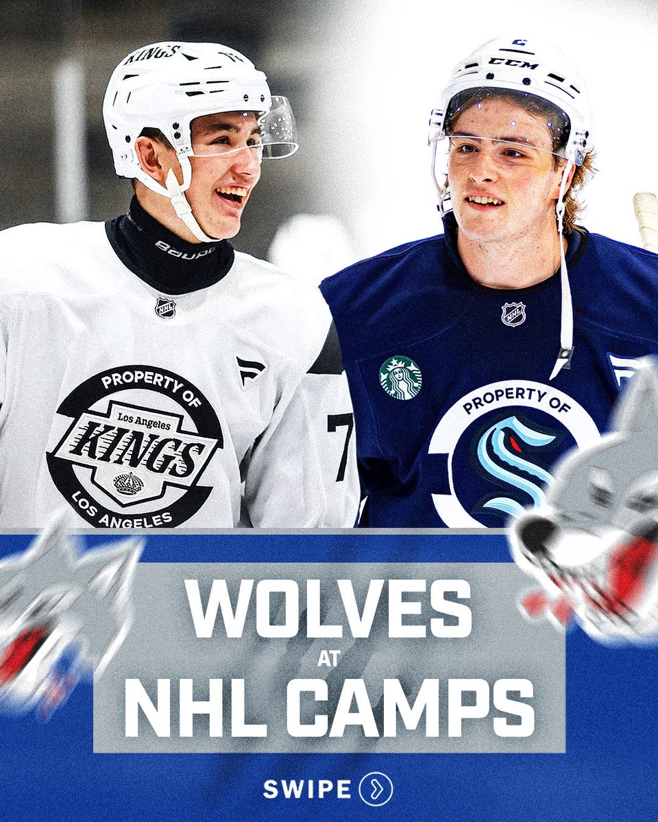 Sudbury_Wolves's tweet photo. The boys were out campin' last week!

Click this thread to see our Wolves at NHL Development Camps ⛺️

#WolvesNation https://t.co/EjkgUeYatJ