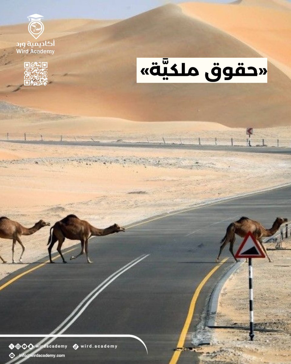 Wird Academy | أكاديمية وِرد tweet media