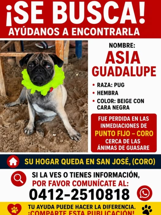 A64029345's tweet photo. DIFUNDIR EXTRAVIADA https://t.co/sdk7sWqagi