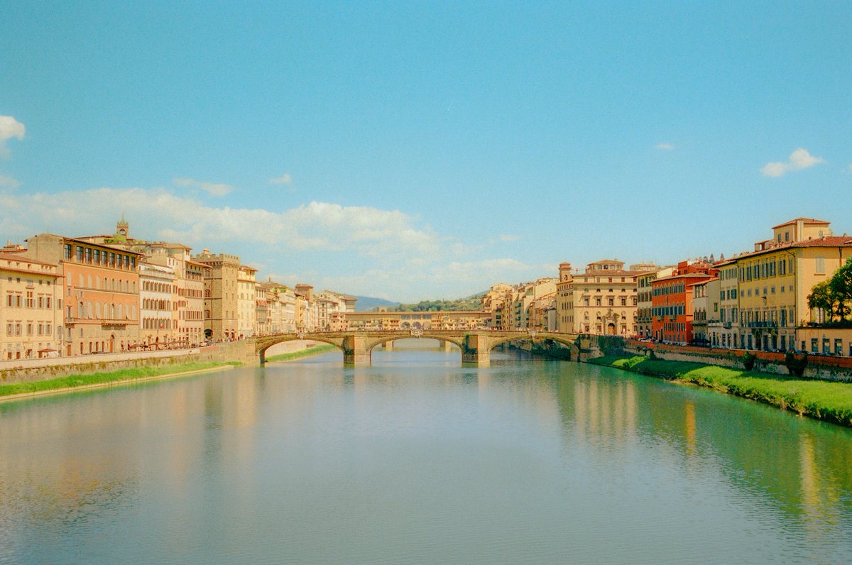 AlexKittoe's tweet photo. Florence on film 🎞️ https://t.co/0JzXTRw6Tm