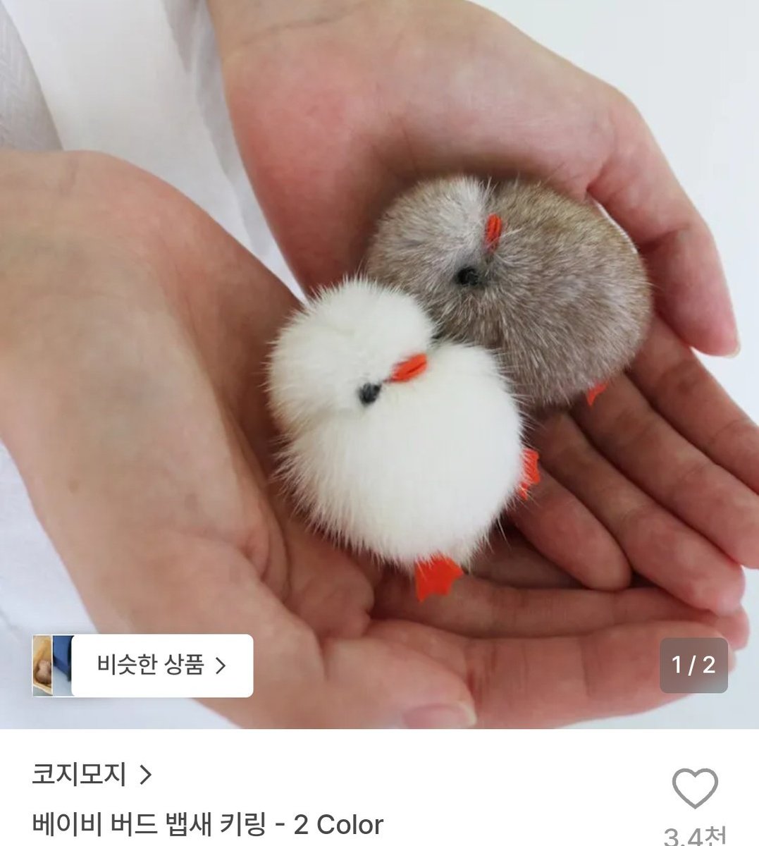 땃지 tweet media