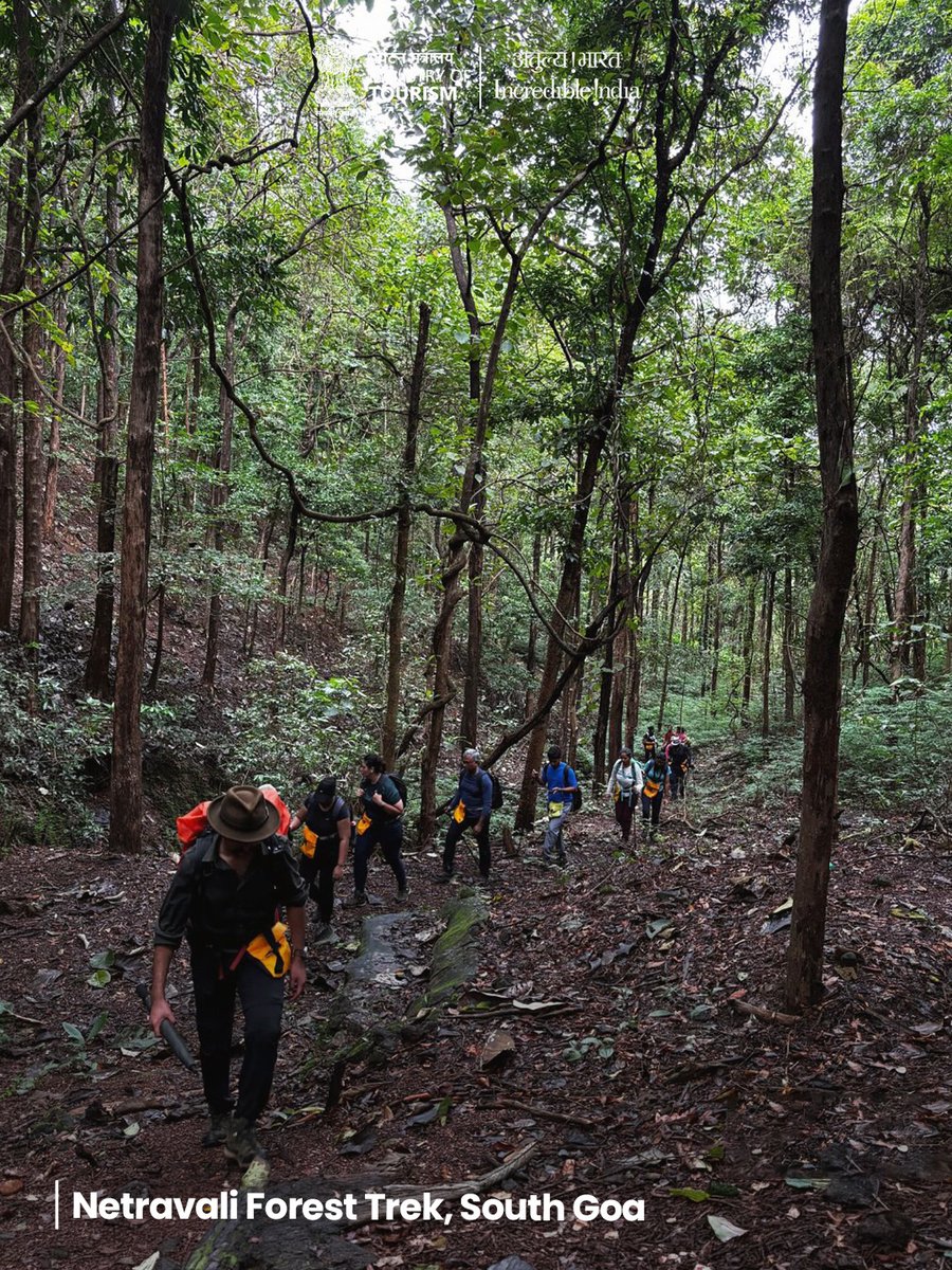 incredibleindia's tweet photo. In the monsoon, Goa feels different. When the coast recedes into the background, and the interior comes alive.

#TravelGoa #Monsoon #ExploreIndia #IncredibleIndia

(1/3) https://t.co/uViKqSuz8U