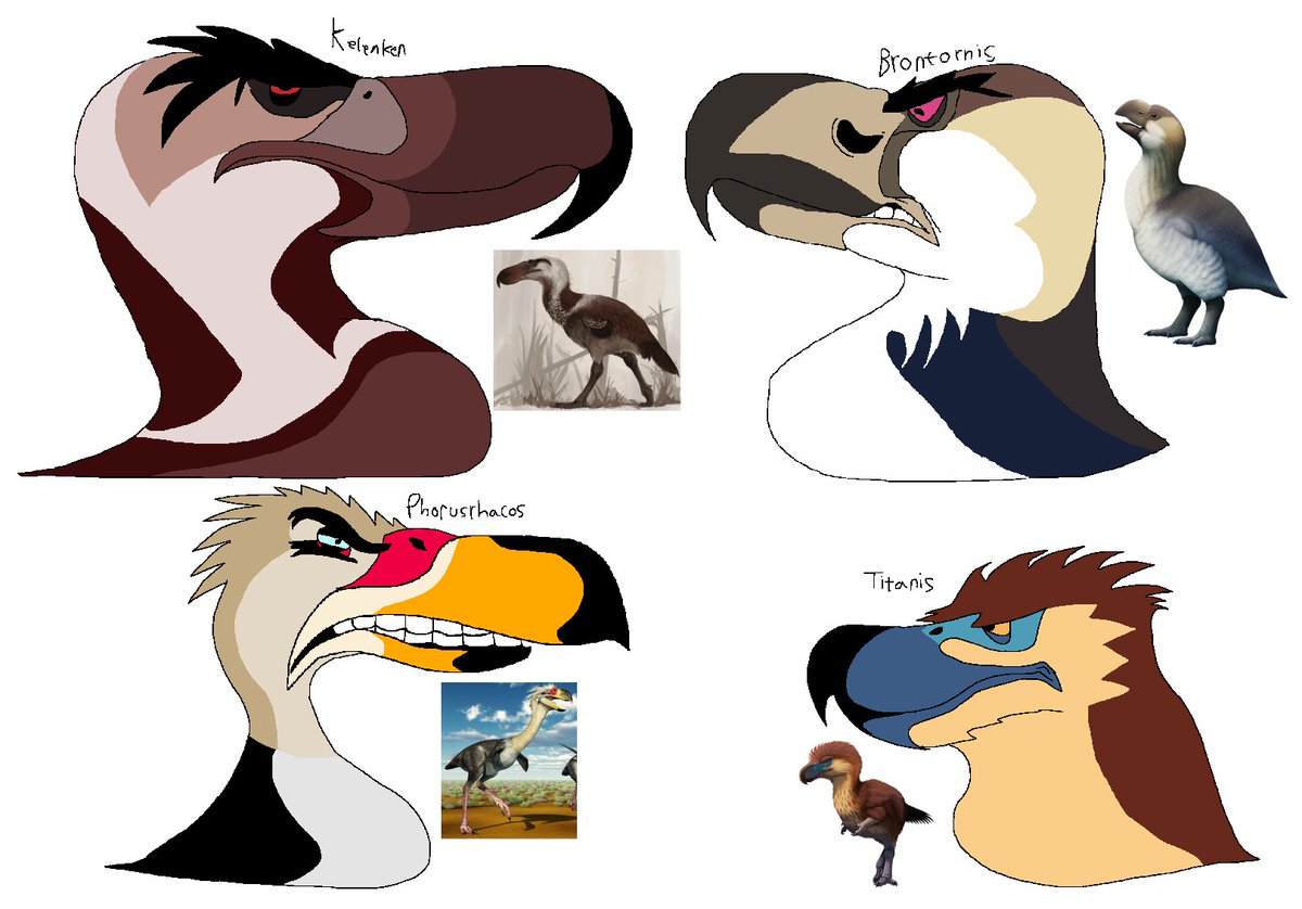 SaintHubertKing's tweet photo. angry terror birds
#angrybirds #phorusrhacidae #terrorbird #paleoart https://t.co/g03oqN3RQu