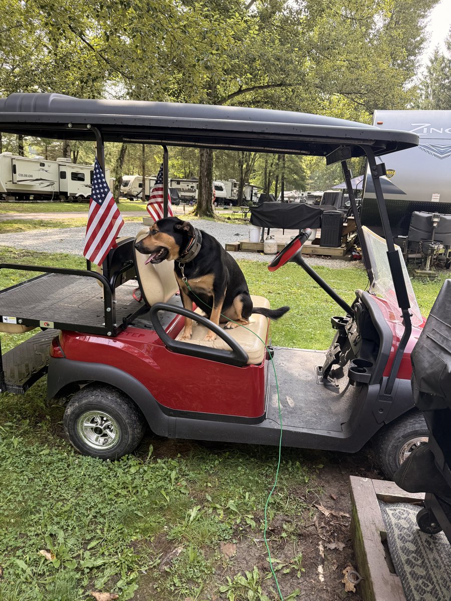 tazfan080's tweet photo. Kain trying to tell me he’s ready to go for a ride https://t.co/lTJnErvCiS