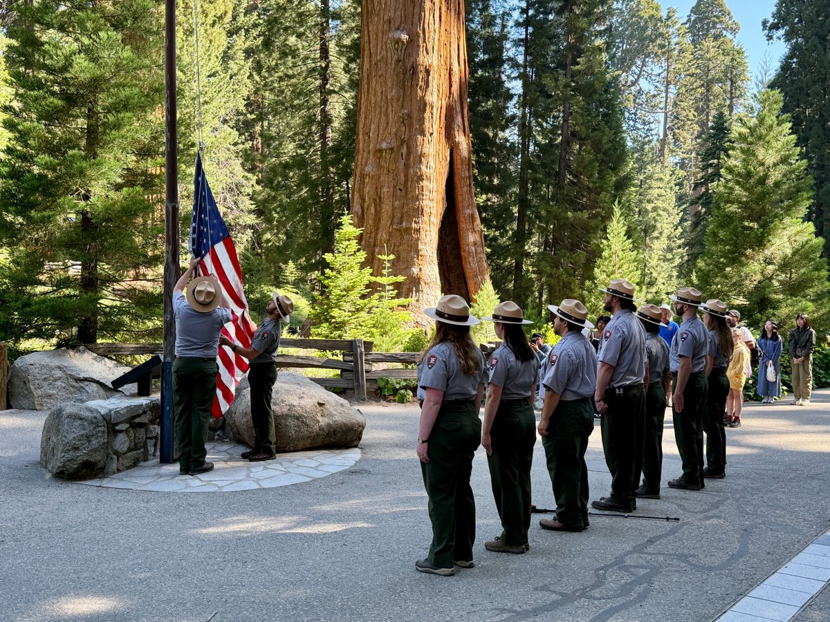 SequoiaKingsNPS's tweet photo. On Independence Day, park rangers led and participated in American flag ceremonies across Sequoia and Kings Canyon National Parks. These ceremonies, held in celebration of 250 years of independence, were performed as a visible expression of patriotism by the proud stewards of America’s most treasured lands.

NPS photo
Alt text: two park rangers prepare to raise the American flag near the Sentinel Tree as several rangers and visitors stand witness.