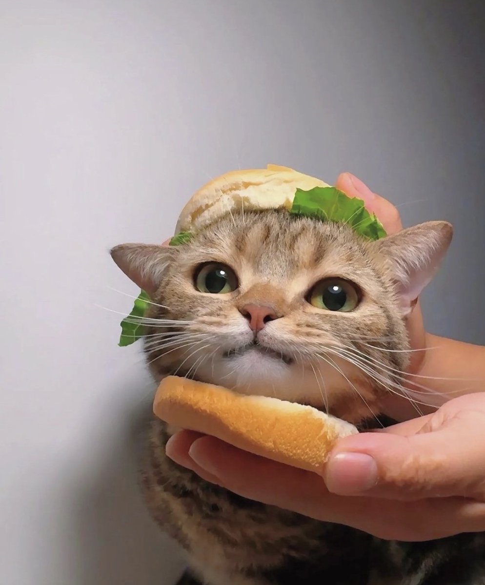 可愛いニャンバーガーできました🐱🍔