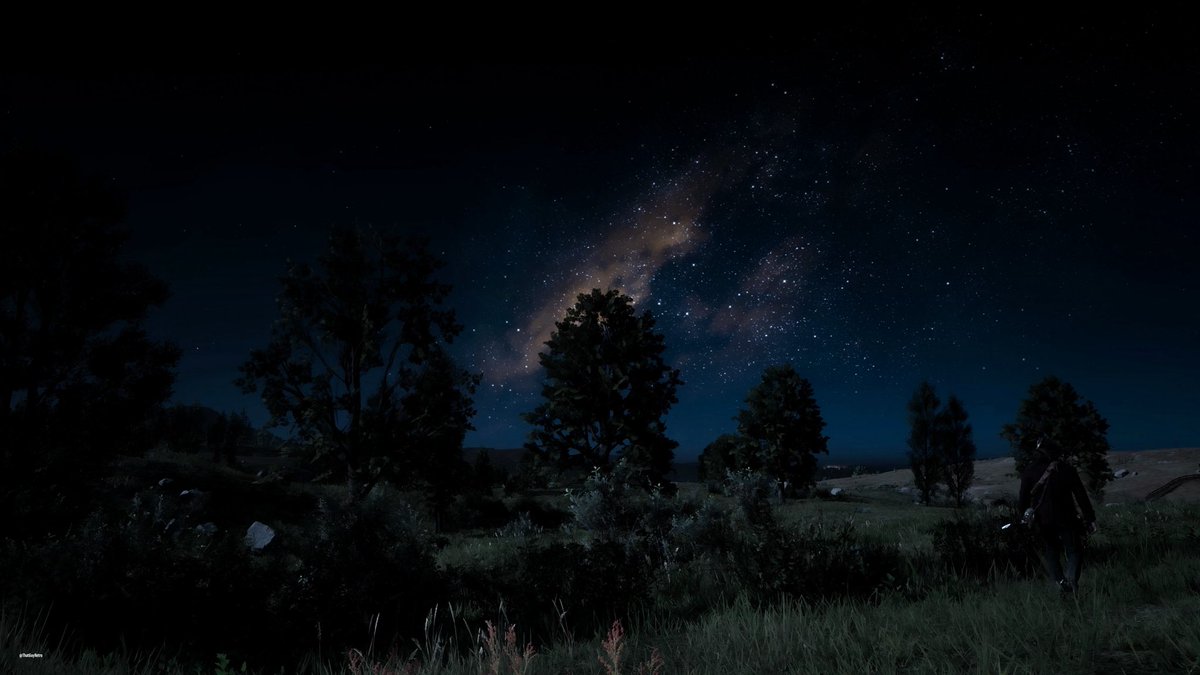 ThatGuyRetro23's tweet photo. Red Dead Redemption 2 https://t.co/m9RI2MCbuU