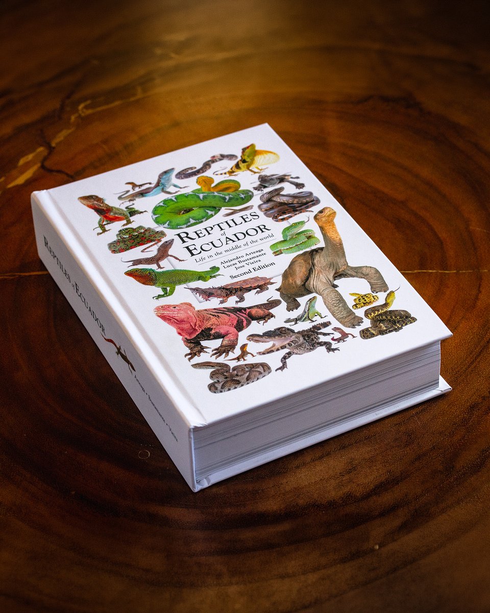 alearteagath's tweet photo. FABULOUS NEWS!

The 2nd Edition of the #ReptilesofEcuador Book has been published.

The entirely new cover includes several famous animals, like Lonesome George and the Pink Iguana.

We are honored to reveal that the foreword is by the most prolific herpetologist alive. Can you guess who?

Although the first edition was published in 2024, much has transpired in these two short years.

The first edition provided a catalogue of 493 species.

Now, the list has expanded to 502 species!

This includes three new country records, but we will not spoil the surprise.

Some recently-described species have also been included, such as the Yasuní Floodplain Skink and the Slevin’s Lava-Lizard.

This edition includes new illustrations by the master Valentina Nieto, and dozens of new photos and map and text updates.

Nevertheless, not all are additions. Some species have been synonymized. Can you guess which ones?

This edition also incorporates a much anticipated, revealing, momentous even, addendum.

The hardcover version of this second edition is immediately available. However, the PDF version will be made available a few weeks later.

If you want to support this project, claim your copy at 👉 https://t.co/oyobWA6rBk or reach out to the authors.
