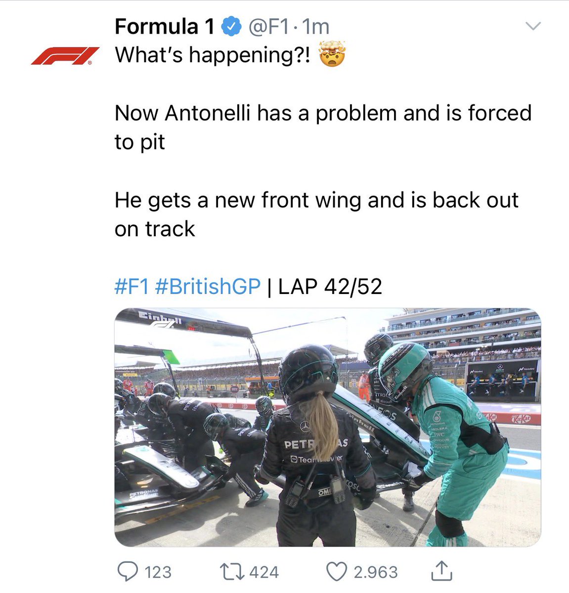 frenchexit200's tweet photo. post silverstone gp 
a #bearnelli few tweets au https://t.co/AdWxMSzveH