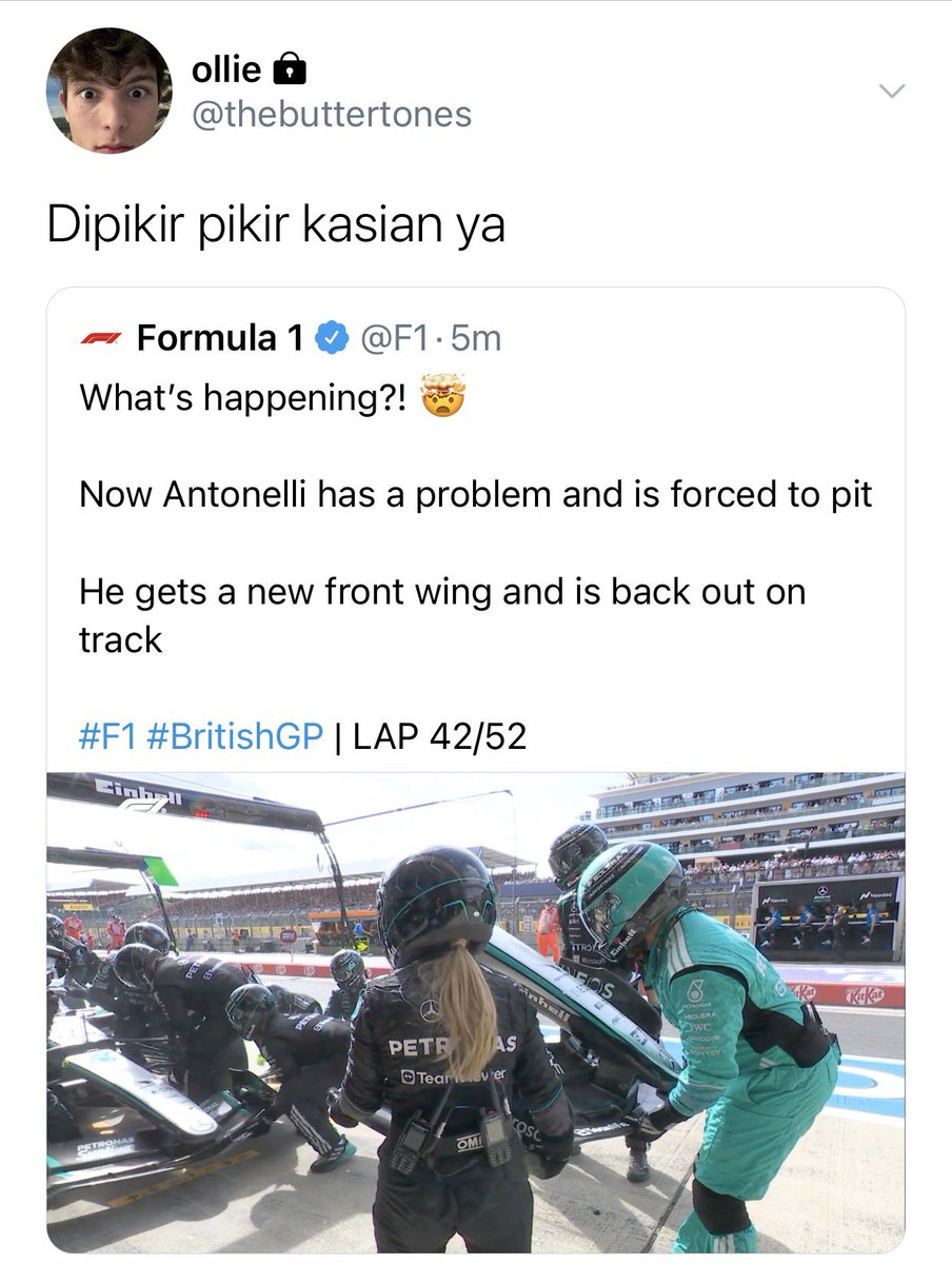 frenchexit200's tweet photo. post silverstone gp 
a #bearnelli few tweets au https://t.co/AdWxMSzveH