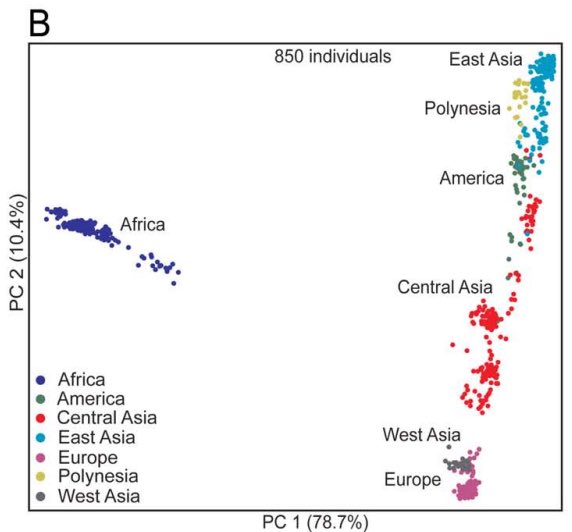 ryanhansen33's tweet photo. Niggers will never integrate into our society. I’m a physician and I see this everyday.

Nigger DNA is so far removed from every other race. You probably saw the PCA plot by now. Niggers on one side, everyone else on the other.

They are literal monkeys that you take from the jungle and expect to integrate into a functioning society. Guess who brought them over? The jews. The greedy jews wanted workers for their profitable cotton gin. What happened when Americans abolished slavery in the Civil War? The jews set loose all these niggers to plaque society. They didn’t want to send them back to Africa. That’s like Germany banning nuclear power and instead of safely storing the radioactive waste, they just dump it into the tap water.
Not surprisingly, the jews and the UN have done something similar. They poisoned the water in Haiti with cholera. They brought in dirty fucking niggas from NEPAL to “help” with “humanitarian efforts” in HAITI. Wtf are they doing halfway across the fucking world? They can’t even save their own fucking country let alone Haiti. They then defecated into the water (like the average dirty south asian) and infected nearly 1 million people. They also tried to deny it (jews as usual) until the evidence was too obvious to ignore. The fucking genetic strain was an exact match.

Btw I will be doing a full independent analysis of genetics by race because there are too many of those plots circulating from fucking nobodies and it’s time that I verify it once and for all.