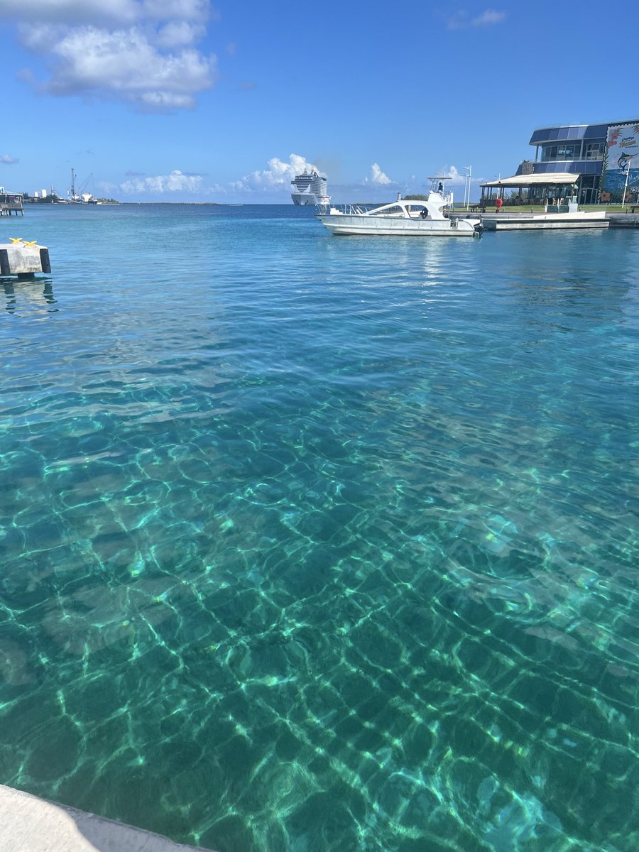 ChrisJCullum88's tweet photo. Nothing beats Nassau’s water clarity! Crystal blue perfection. Which shot are you saving for your next trip? #NassauBahamas #Wanderlust https://t.co/MUNiQcWsTD
