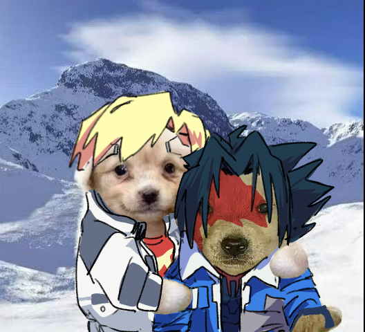 LWhiteDog_0708's tweet photo. D https://t.co/8gcYG1wWAs