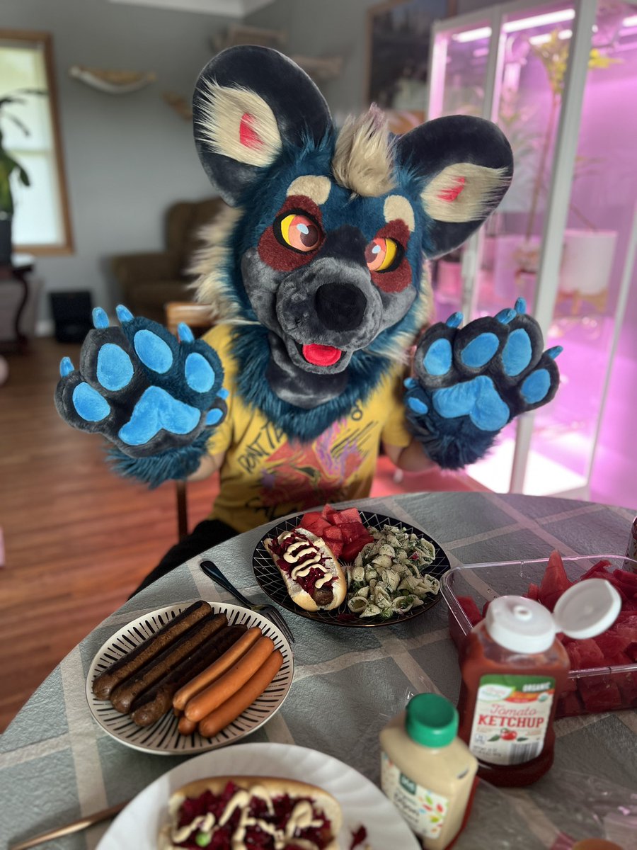 roWildDog's tweet photo. I hope y'all had an awesome 4th! #veggiedog https://t.co/nYBB0aOC5C