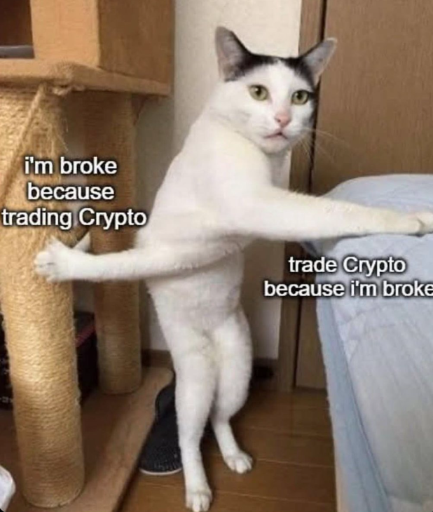Kong Trading 🦍 tweet media