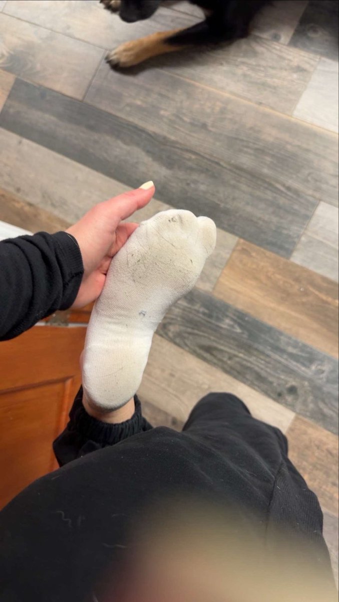 JadeSoless's tweet photo. Sniff and send to my stinky socks.🧦 #socks #simps #feet #buyingcontent https://t.co/yYofKPQmkT