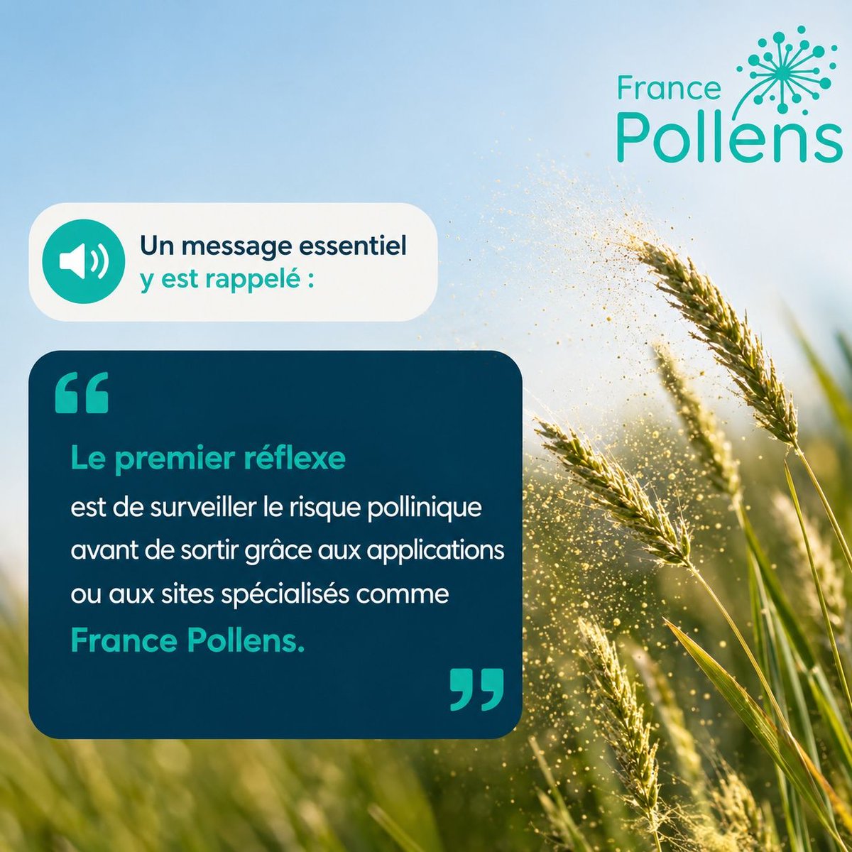 FrancePollens's tweet photo. 🎙️ France Pollens a été mis en avant dans cet excellent article d’Ici (France Bleu), avec une interview audio à écouter en début d’article.

Un message essentiel y est rappelé : anticiper reste le meilleur moyen de limiter l’impact des allergies aux pollens.

« Le premier réflexe est de surveiller le risque pollinique avant de sortir grâce aux applications ou aux sites spécialisés comme France Pollens
Lorsque l’indice est élevé, mieux vaut adapter ses activités, surtout les jours de vent ou d’orage. Les orages fragmentent les grains de pollen en microparticules encore plus allergisantes. »

Merci aux équipes d’Ici (France Bleu) et au Dr Gérald Kierzek, MD, PhD, MPH pour cette mise en lumière et pour rappeler l’importance d’une information fiable et accessible pour les millions de personnes concernées par les allergies.

🎧 L’interview audio est à écouter en haut de l’article.
👉 https://t.co/t4E5xiQPq9

#FrancePollens #Pollens #Allergies #Santé #QualitéAir