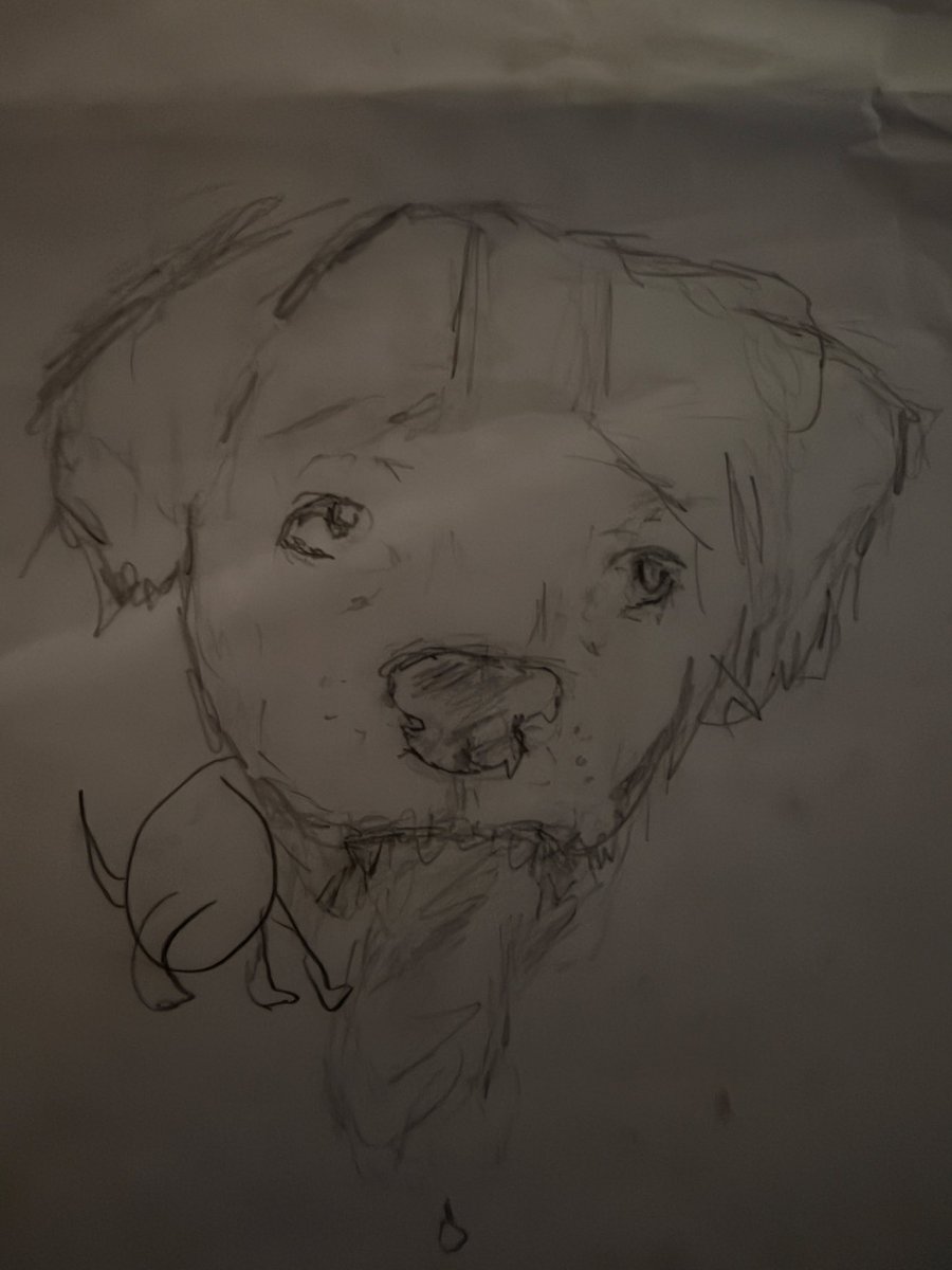 JustaMinx's tweet photo. please rate my drawings of bungo and balto bear https://t.co/D0xPwHWak1