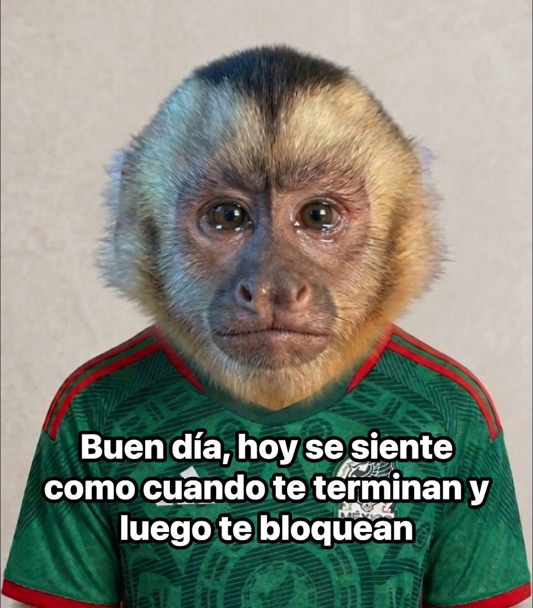 ladonastewart's tweet photo. Justo así https://t.co/l9LTwOeBi2
