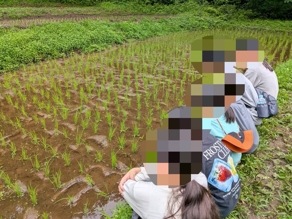 tmunathis's tweet photo. 小学生たちと田んぼまで歩いてきました🚶‍♀️
水の入った田んぼにはアカハラが来ていて、ハイイロやセスジなどいろんなスイマーとで会えました。 https://t.co/UTJLuGXmZF