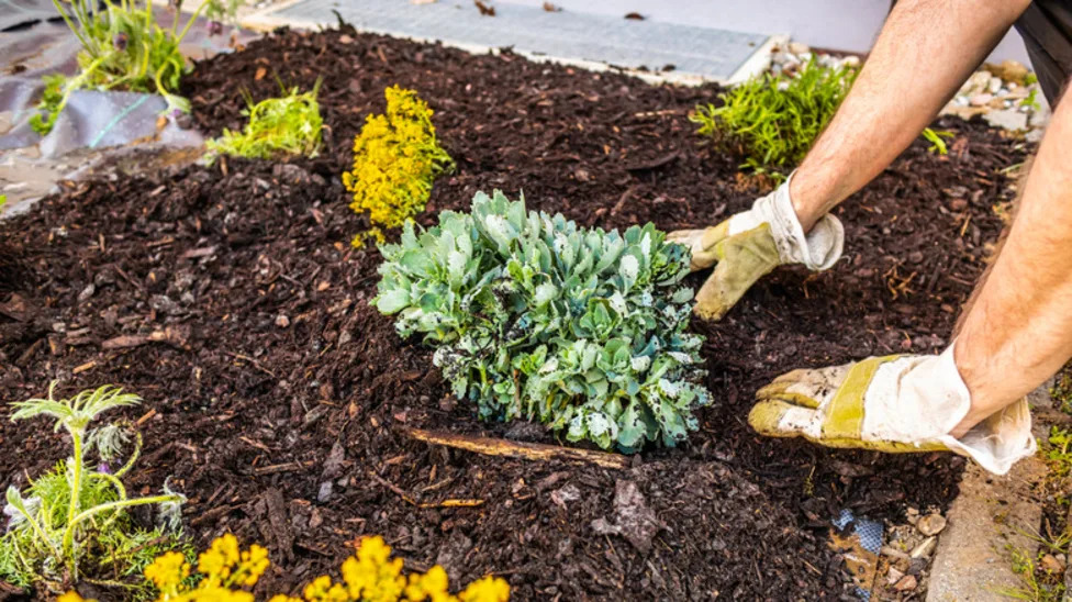 threezsupply's tweet photo. Can You Layer Gravel Under Mulch For Extra Benefits? Here's What You Should Know  https://t.co/kY9Nso2NZ6 https://t.co/nVzL06nWTQ