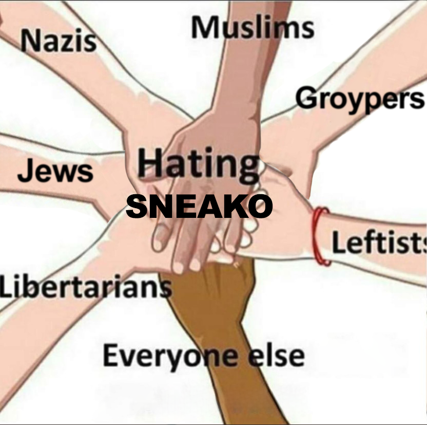 apuwaffenss's tweet photo. sneako is the israel of twitter https://t.co/c9pYcp8rVk