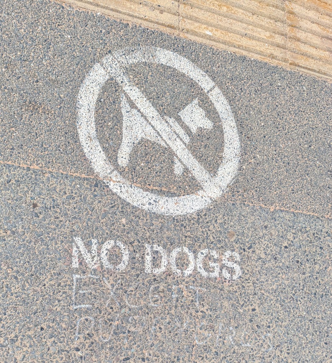 kittycabdriver's tweet photo. Graffiti I saw at the beach. I can get behind this

(Kind of hard to see, but it says except puppygirls) https://t.co/OuUX853jgY