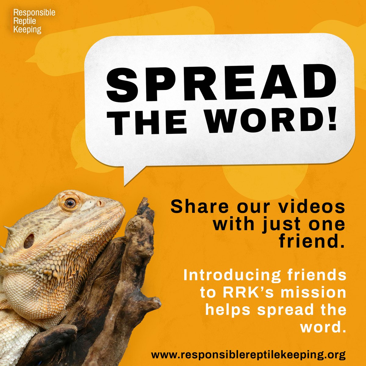 This_is_RRK's tweet photo. Spread the word about Responsible Reptile Keeping.

🧡 Love reptiles?
👍 Hit that like button.
🔁 Share our content with just one friend to help us reach more animal lovers.
📲 Follow us and join a growing global community changing the way the world sees reptiles.
.
#TeamRRK https://t.co/kBOhcC9ge1