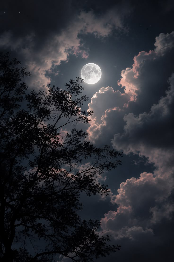 Its_Anees756's tweet photo. Alone with moon 
Moon face is charming 
Alone speaking with moon
No one else to share pain https://t.co/MJZuhOu4aM