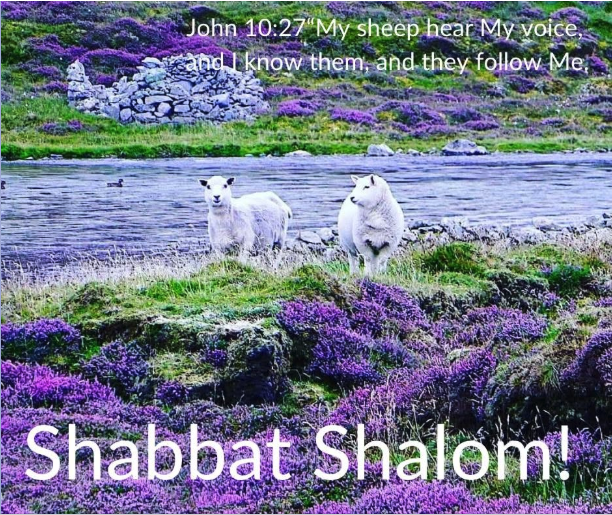 ThundersSeven's tweet photo. @MrMrsTrumpet Happy #Sabbath Day - the fixed Scriptural Calendar is perfect and all of #YaHUaH's #fixed Appointed Times are indeed fixed - that includes the 7th Day
Blessed & dearly loved are those who keep & do #TheCommandments good for a 1000 generations https://t.co/CHDqLphL5i