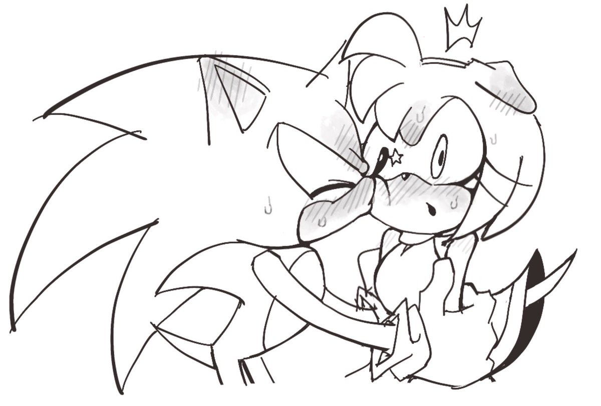 song_it623's tweet photo. #sonamy https://t.co/OQZEUGzTI6