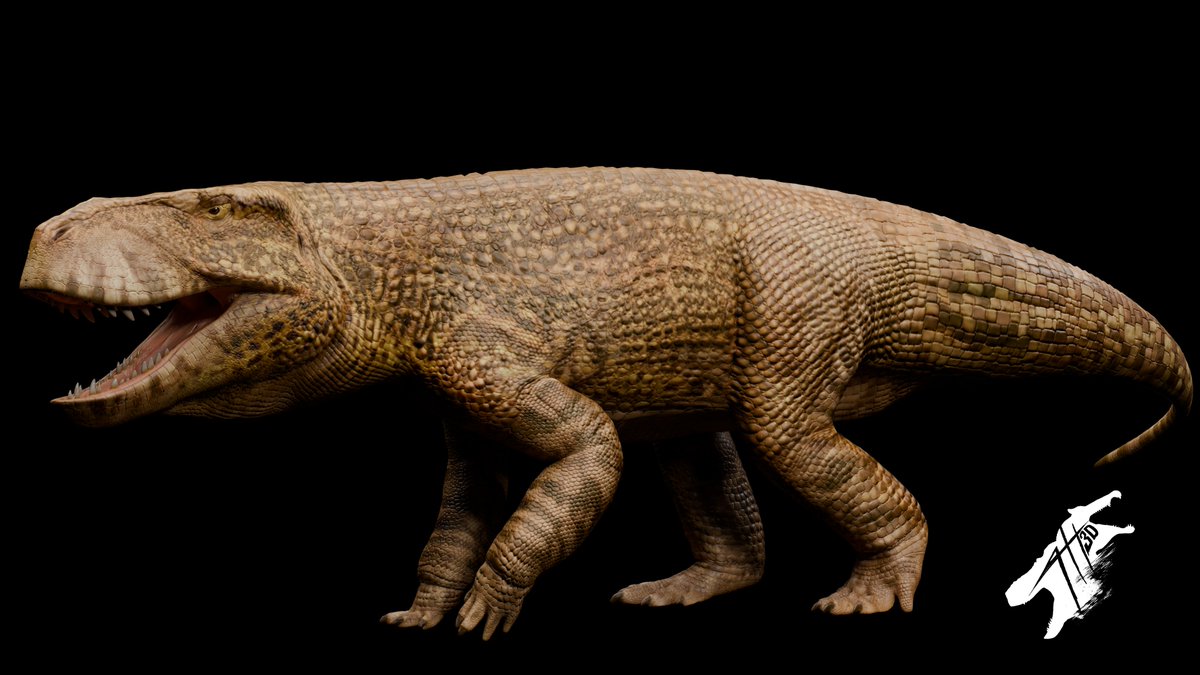 TH_arts_'s tweet photo. Prestosuchus https://t.co/y0LOi7RJvi