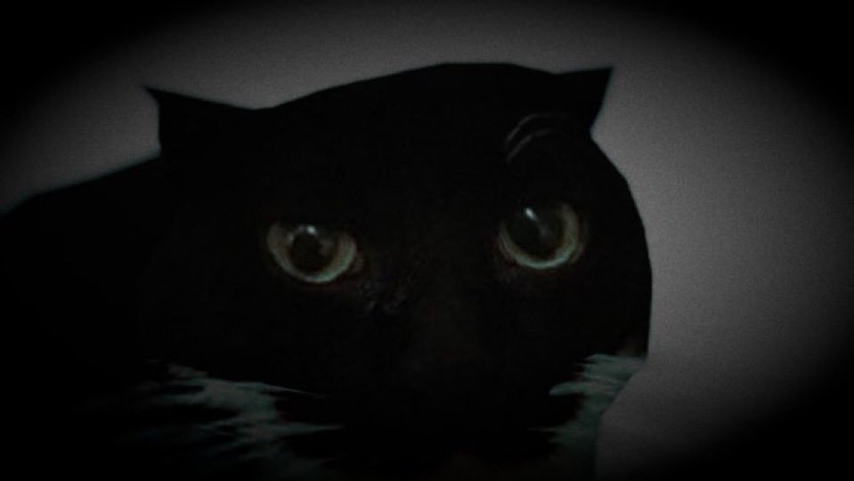 SPINCAT_Maxwell's tweet photo. @maffay38 @topcats_online waiting in the shadows to scratch some dogs.. https://t.co/SSB7IYb427