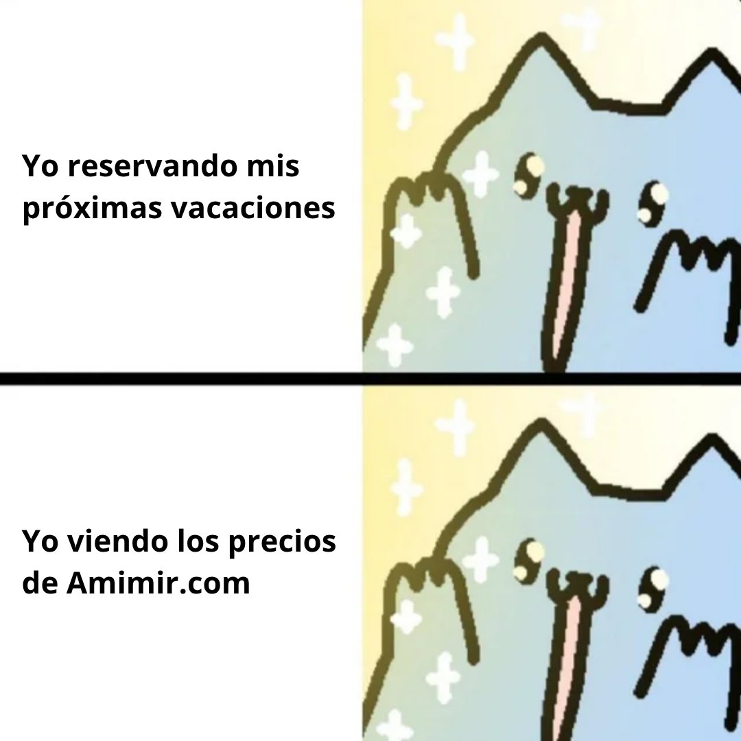 amimir's tweet photo. ✨ felicidad ✨ https://t.co/pAaBd6JojW