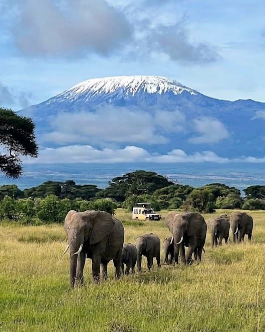 zoomafrika1's tweet photo. Nature is Amazing 😍 https://t.co/e27K7W7apb