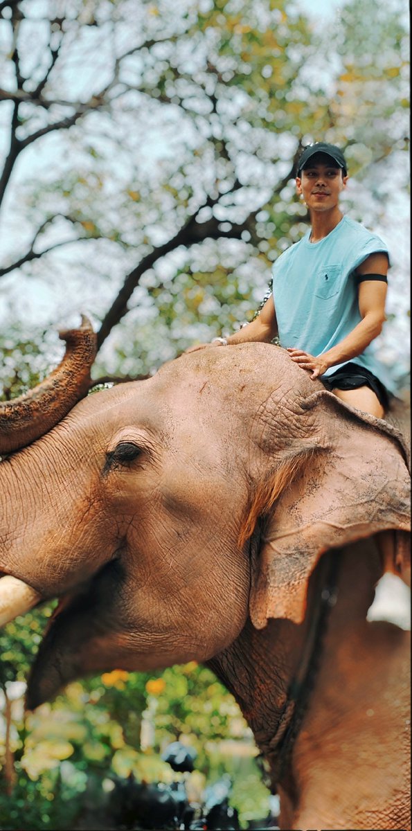 kormarom4488's tweet photo. ถ่ายเอง ชอบเอง
#treporapat
#ตรีภรภัทร https://t.co/er5fvKKgp5