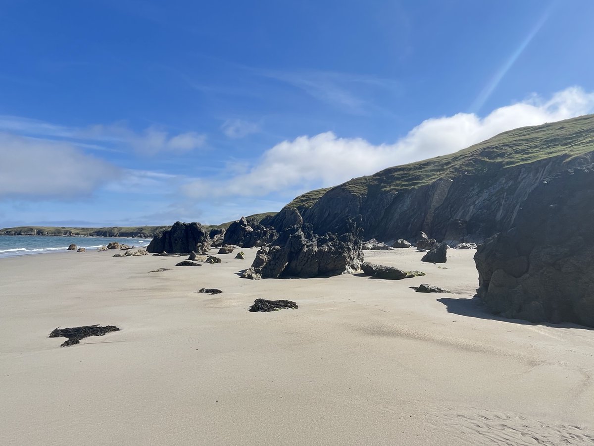 MartinL1894's tweet photo. Our walks today with @JudithL1958 https://t.co/hIrKQUQUlC