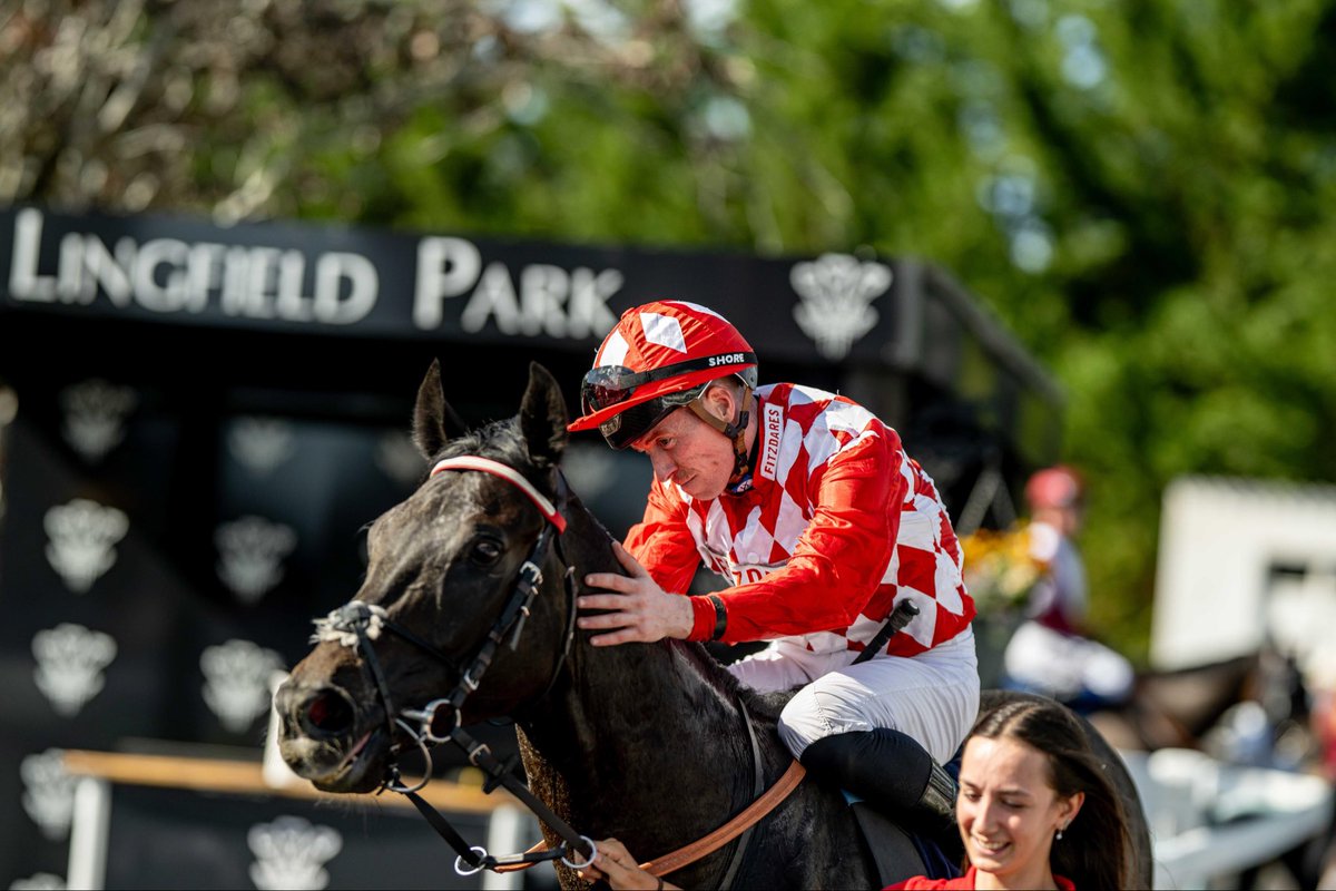 LingfieldPark's tweet photo. The @SkySportsRacing Virgin 512 Handicap (Class 4)

🥇Tan Rapido

🥈Dyrholaey 

🥉Almaty Star

Winning Jockey: @PBradley24 
Winning Trainer: @FellowesRacing 
Winning Owner: Bedford House Racing I
📷:@dcoolimages https://t.co/9EApeOePiq
