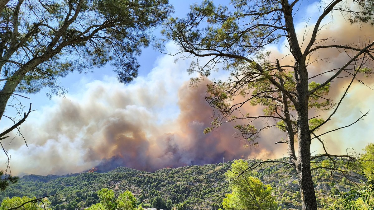 tonimarles's tweet photo. IFCarme #Anoia
Comença aproximadament entre dos quarts i tres quarts de cinc de la tarda. 
Ara una hora i mitja després només un mitjà aeri:  1 helicòpter amb bambi.
En aquesta estona ha cremat des de Carme fins a Vilanova del camí. https://t.co/KL0oB1xtBp