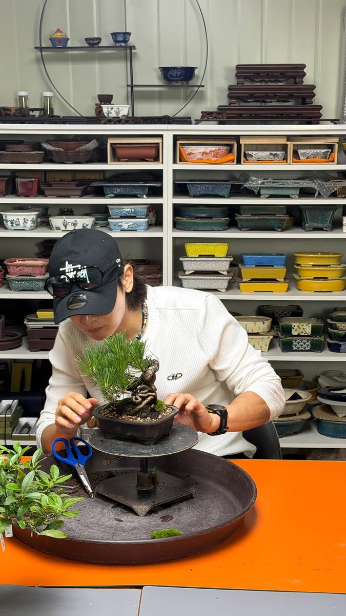 musekibum's tweet photo. gym -> bonsai -> practice

the way this is ONE SAME DAY in minho ig stories 😭😭 

i think he wants to win against 24 hours too... https://t.co/OYakCByDqo